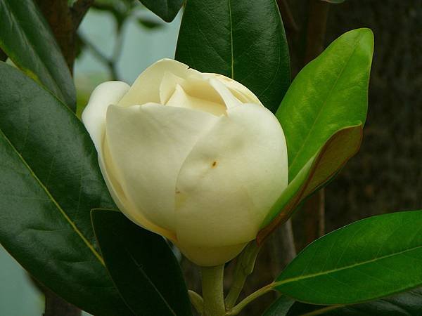 P1660014