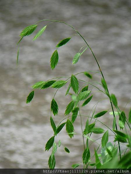 P1760588