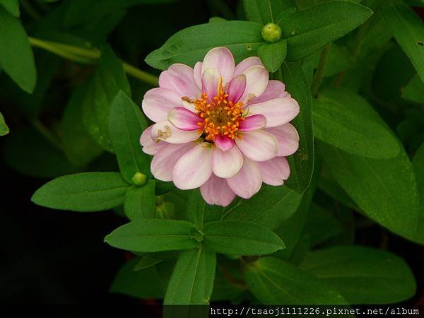 P1760695