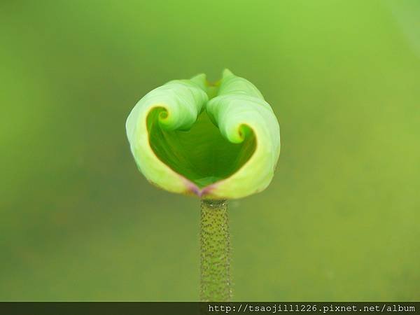 P1770096