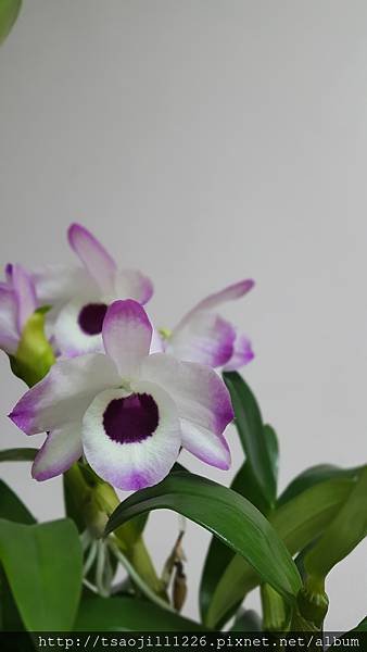 20170409_083153