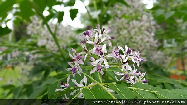 20170415_100507