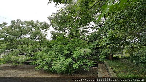 20170415_101746