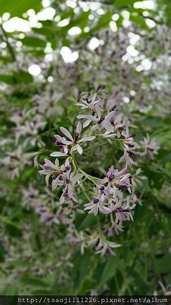 20170415_101351