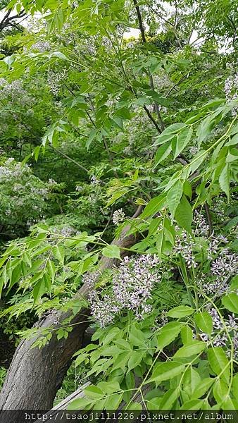 20170415_100828