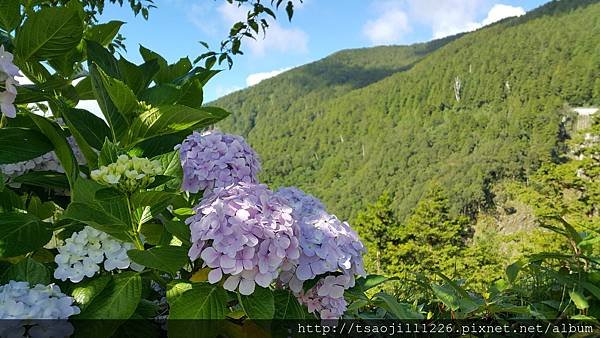 20170704_080747