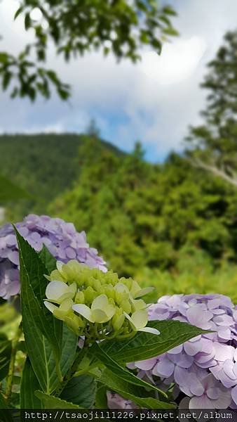 20170704_083256