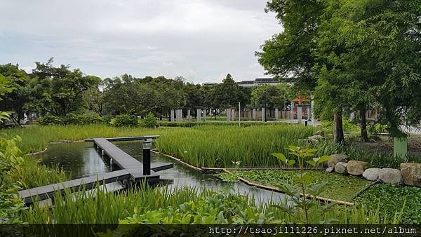 20170703_141833