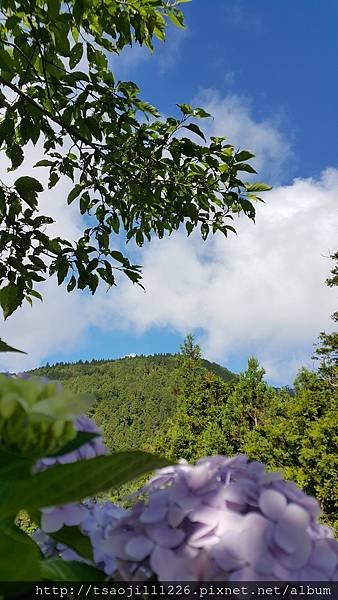 20170704_080909