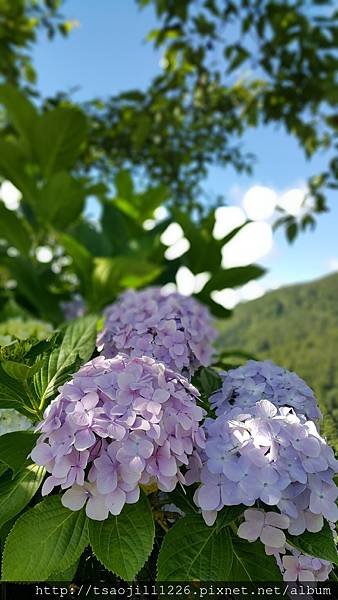 20170704_080959