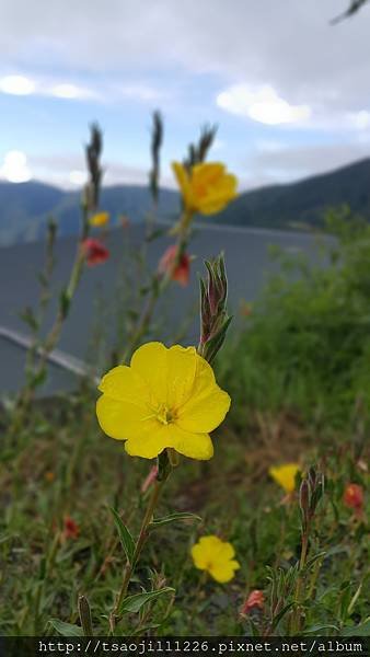 20170704_063337