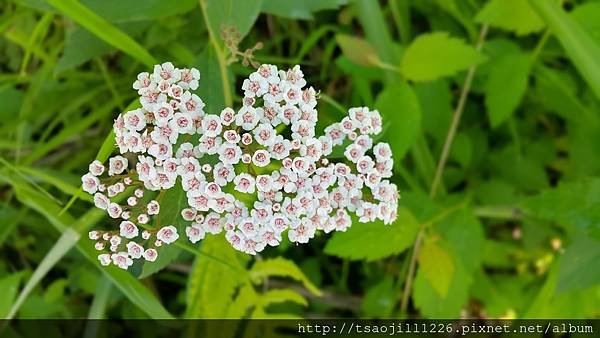 20170704_074841