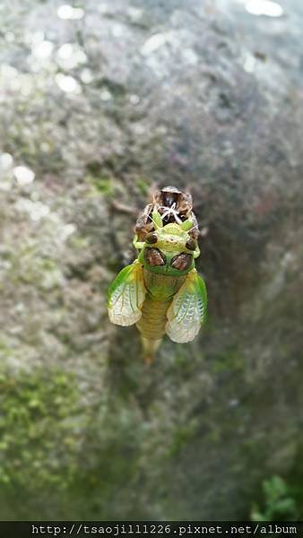 20170703_112836