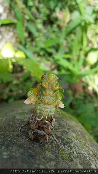 20170703_112536