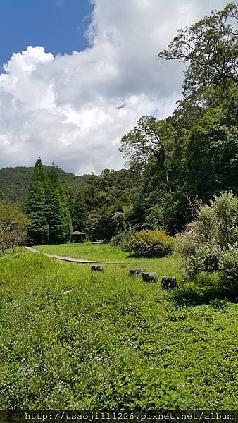 20170703_104039