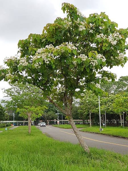 20190418_134637.jpg