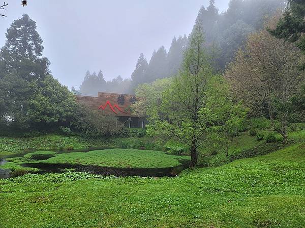 2022梅峰農場三月芳菲