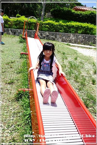 05.jpg