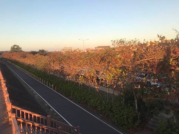 2025/01/04香山濕地賞蟹步道(新竹市香山區中華路五段
