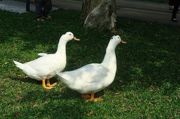 DSC00035_調整大小 