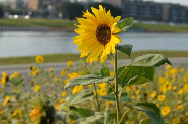 DSC_0169_調整大小 