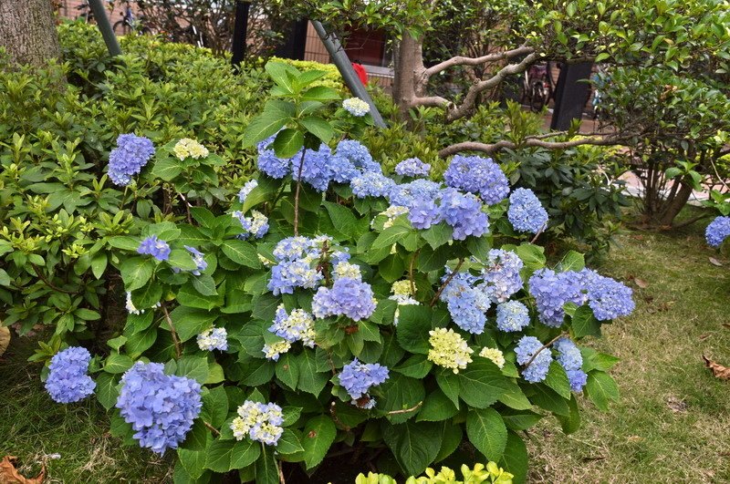 DSC_0001_調整大小 