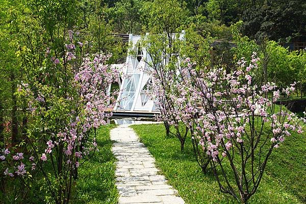 26.櫻花步道