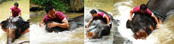 elephant farm-04.jpg