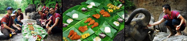 elephant farm-05.jpg