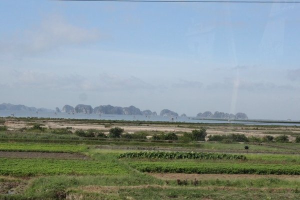 IMG_1875.JPG