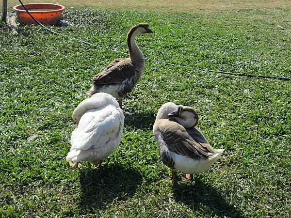 IMG_1777.JPG