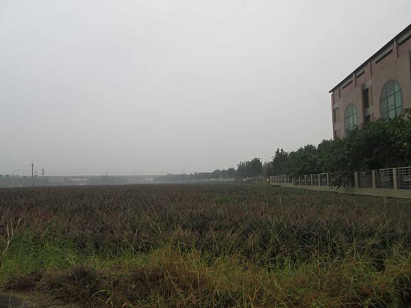 IMG_2015.JPG