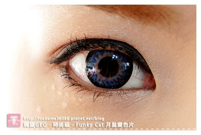  時尚喵 - Funky Cat 