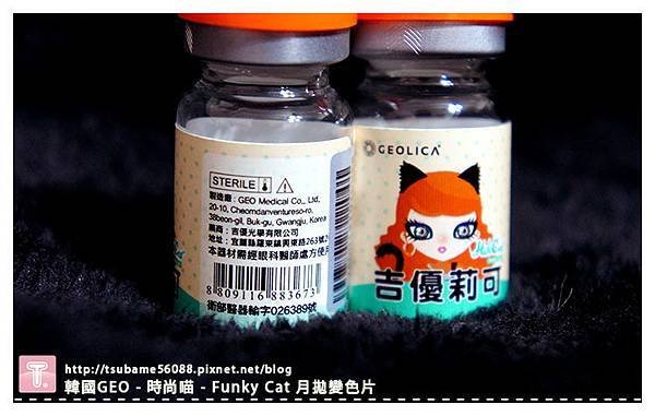  時尚喵 - Funky Cat 
