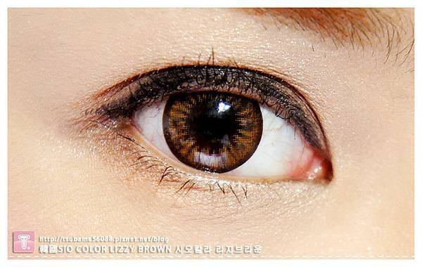 SIO COLOR LIZZY BROWN 시오칼라 리지브라운栗子色變色片