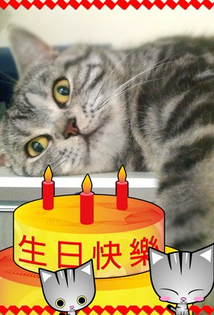 小翼生日快樂