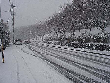 名古屋下雪了-5