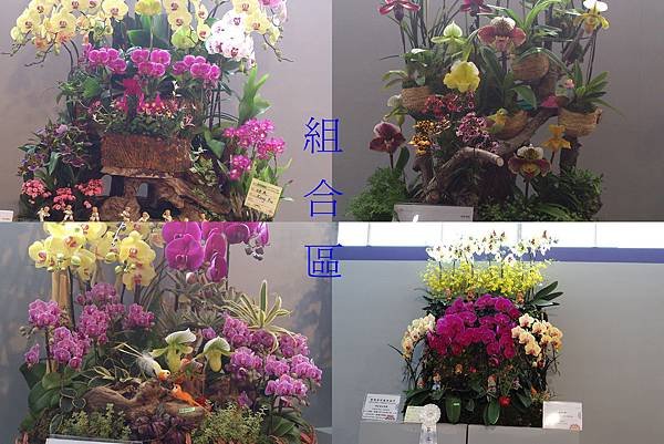 一入場先展示組合區