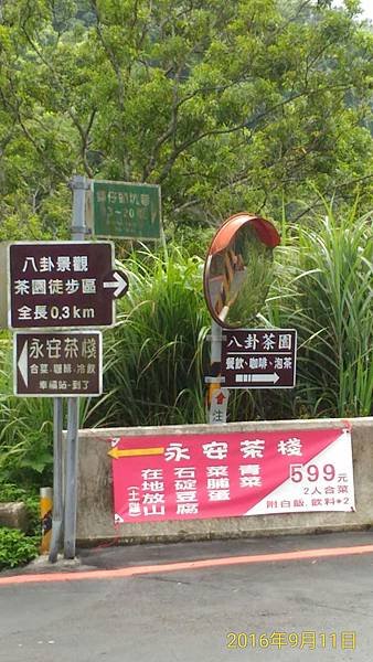 路寛,車停此在走進八卦茶園