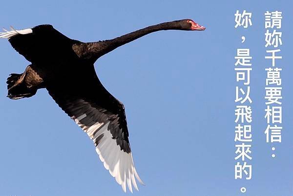 飛起來.jpg