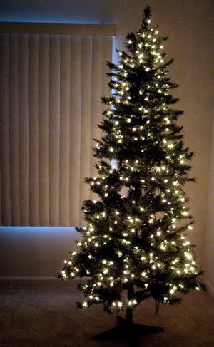 IMG_0136.JPG