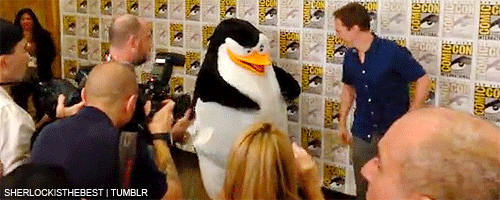 tumblr_n98cdbvxf21r1eamko2_500.gif