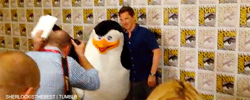 tumblr_n98cdbvxf21r1eamko3_500.gif