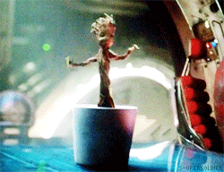 tumblr_n9m337XrXt1qi6vv0o3_250.gif