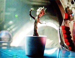 tumblr_n9m337XrXt1qi6vv0o4_250.gif