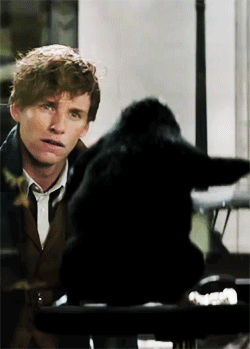 tumblr_oelcuemuvf1rj7wg7o3_250.gif