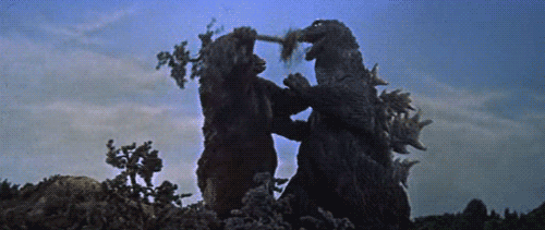 tumblr_inline_om6yzvQUGS1t2g8eq_500.gif