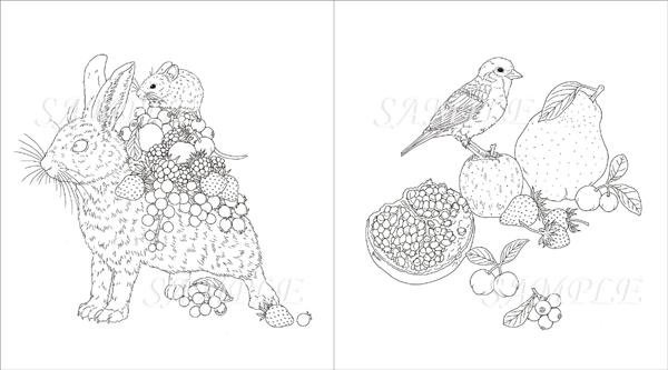 Garden Coloring Book-1.jpg