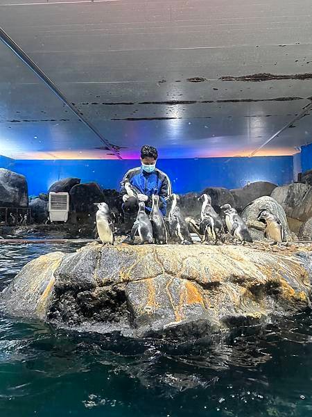 一個人的旅行 - 蘭卡威水族館看企鵝