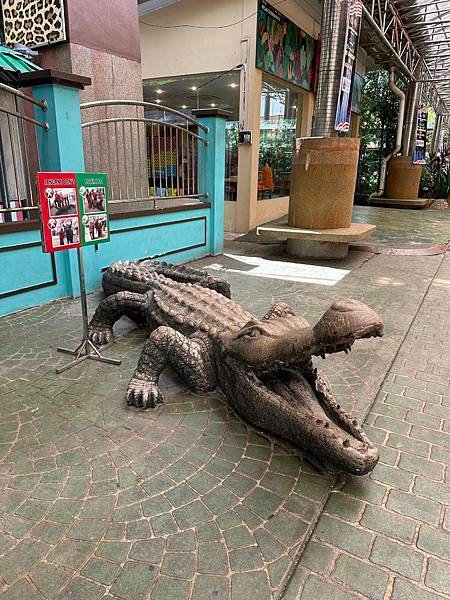 一個人去動物園